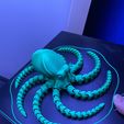Octopus 2.0