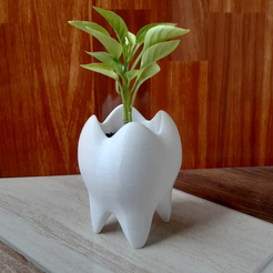 diente maceta-3.PNG STL file TOOTH POT TOOTH VASE・3D printing design to download