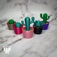 IMG_1399.jpg 3D file cactus bundle・3D printing idea to download