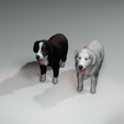 Tatra-Sheepdog.png DOG DOG - DOWNLOAD Sheepdog 3d model - CANINE PET GUARDIAN WOLF HOUSE HOME GARDEN POLICE 3D printing DOG DOG