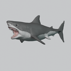 thumbnail.png Télécharger le fichier OBJ Grand requin blanc • Objet pour imprimante 3D, fidad