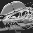 dilophosaurus-skull-part-2-2-3d-printing-238749.png Dilophosaurus Skull