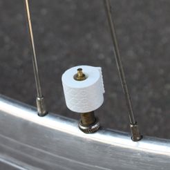 IMG_8166.jpg Toilet paper valve caps