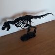 T-Rex Skeleton