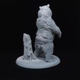20230907_164013.jpg Grizzly Bear and Scenic Base Presupported