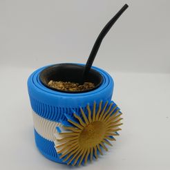 IMG_20230516_110819678.jpg Gyroscope du Mate Messi Argentina