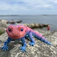 Leopard Gecko Articulated Toy, Print-In-Place Body, Snap-Fit Head, Cute Flexi