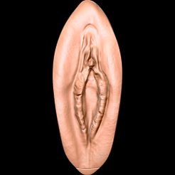 PCU1_Render.jpg Download file Series of eight realistic vulvae. 1/8 • 3D printing design, plasmeo3d