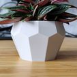 IMGmax_20221216_212749.jpg Geometrical Tall Bonsai Pot and planter