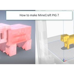 pig.jpg MineCraft PIG