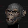 07.jpg King Monkey Mask - Kingdom of The Planet of The Apes
