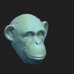 ZBrush-Document.jpg monkey head