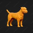 2215-Border_Terrier_Pose_01.jpg Border Terrier Dog 3D Print Model Pose 01