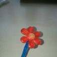 IMG_20130216_141712.jpg Blume