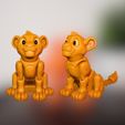 9.jpg Flexi Simba