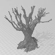 MINI-BONSAI-BUIS-02-3.png МИНИ БОНСАЙ САМШИТ 02