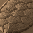 SKU-_06_detail_oak.png Sea Turtle Shell – 3D STL Model
