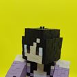 20250815_162245.jpg Minecraft Aphmau play figure