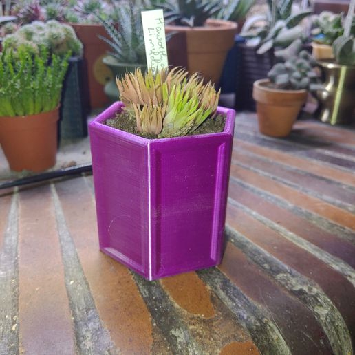 Octagon flower pot 3D model