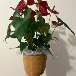 WhatsApp-Image-2022-12-08-at-07.47.21-1.jpeg Archivo STL Corazones PatternPot・Plan de impresora 3D para descargar