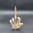20230602_184830.jpg Skeleton Hand Middle Finger
