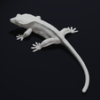 Look4.png Crested Gecko Lizard Pet