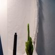 1NK_1792.jpg PolyPot – Plant Pot and Tray