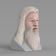 untitled.1746.jpg Dumbledore from Harry Potter bust for full color 3D printing