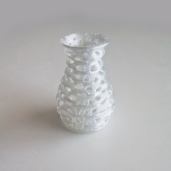 Capture_d__cran_2014-10-14___11.51.58.png Download STL file Voronoi Form Vase 1 • 3D print design, David_Mussaffi