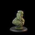 Celtic Lady.59.60.jpg Celtic Lady Bust Presupported