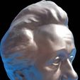 Einstein_3D_Printed_Bust.jpg Albert Einstein Bust 3D Scan