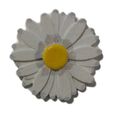 margarita-iman-10x1-a.jpg Daisy for Magnet