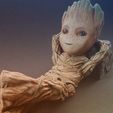20180511_075532.jpg Groot