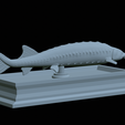 Sturgeon-statue-24.png fish beluga / sturgeon / huso huso / vyza velká statue detailed texture for 3d printing