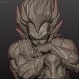 IMG_6460.jpeg Vegeta sentado