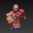 Boxer3.png boxer
