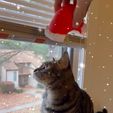 IMG_2306.jpeg Santa Cat Hat 🎅