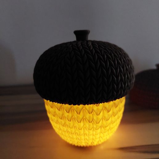 20251013_181803.jpg Knitted Acorn Light
