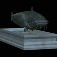 Catfish-statue-9.png fish wels catfish / Silurus glanis statue detailed texture for 3d printing