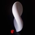 20190910_181255.jpg STL-Datei Infinity Shell - Smooth Edition・3D-Druck-Idee zum Herunterladen