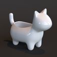 gatomaceta06.jpg kedi̇ bi̇tki̇si̇ saksisi