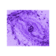 NGC 1433.stl NGC 1433 Hubble deep sky object 3D software analysis