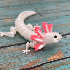 IMG_4014.jpg ARTICULATED AXOLOTL - PRINT-IN-PLACE ARTICULATED REALISTIC AXOLOTL