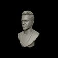 14.jpg Robert Downey 3D portrait sculpture