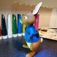 PR_07.jpg Archivo STL Peter Rabbit con Benjamin Bunny y Lily Bobtail・Modelo para descargar e imprimir en 3D