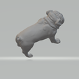 5.png Pug Dog 3D print model