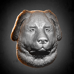 dog-head.png Fichier STL Tête de chien de montagne de l'Estrela・Objet pour impression 3D à télécharger
