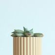 COL_FRONT_PLANT.jpg SET OF 4 MINIMAL PLANT POTS FOR SUCCULENTS AND CACTI READY TO BE PRINTED ON WOOD PLA