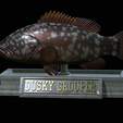 Dusky-grouper-19.png fish dusky grouper / Epinephelus marginatus statue detailed texture for 3d printing