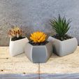 20210718_172414.jpg Minimalist Geometric Succulent Planters - 3 styles